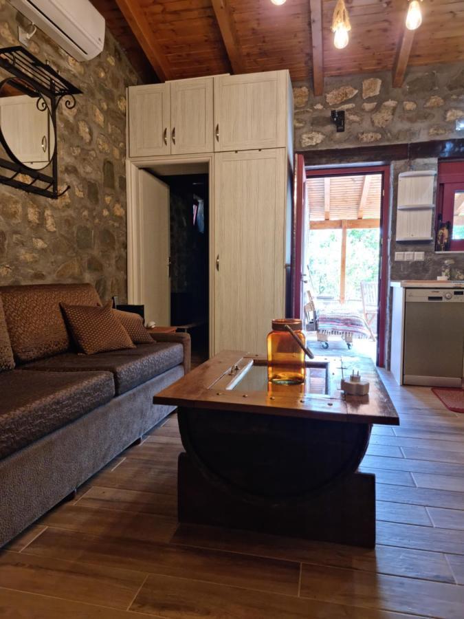 House With Big Garden And Barbeque In Nature Vourgareli Esterno foto