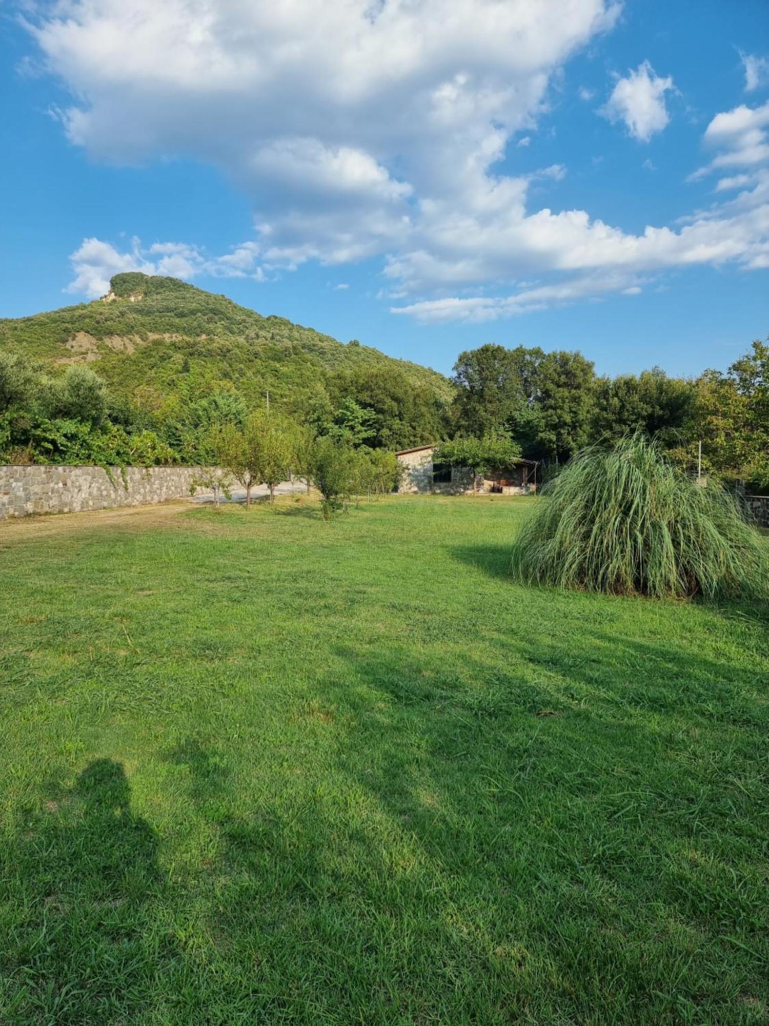 House With Big Garden And Barbeque In Nature Vourgareli Esterno foto