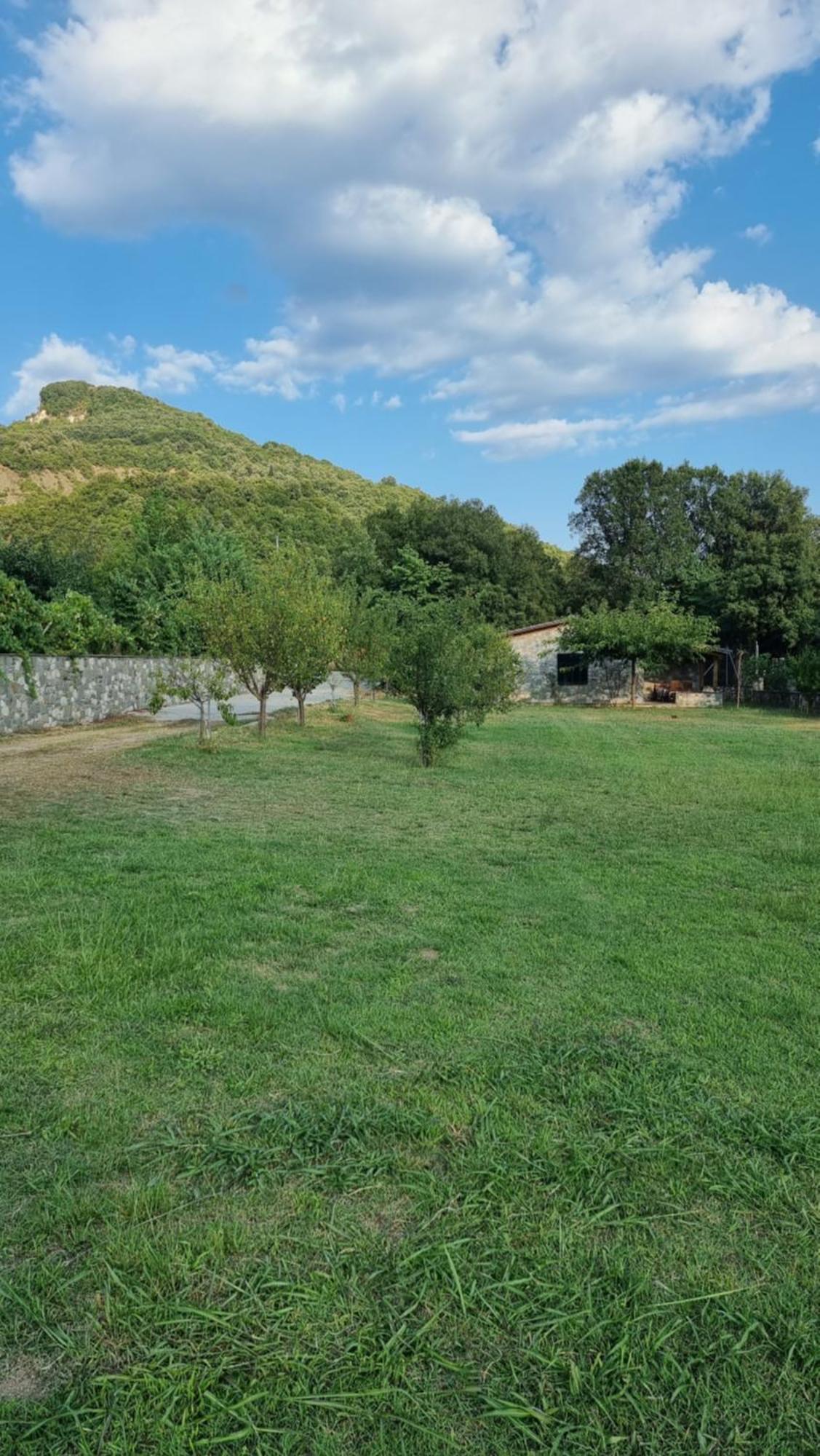 House With Big Garden And Barbeque In Nature Vourgareli Esterno foto