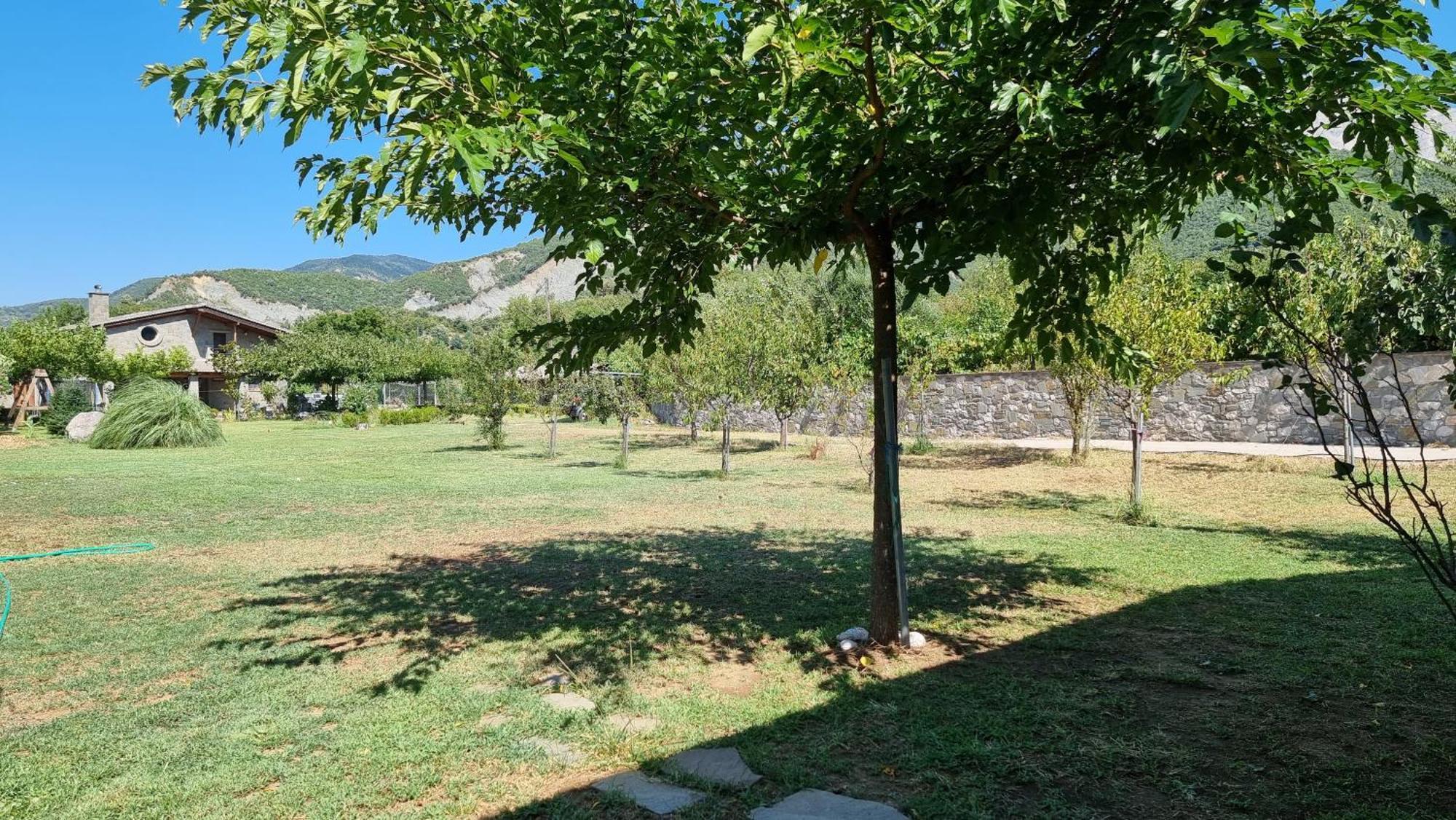 House With Big Garden And Barbeque In Nature Vourgareli Esterno foto